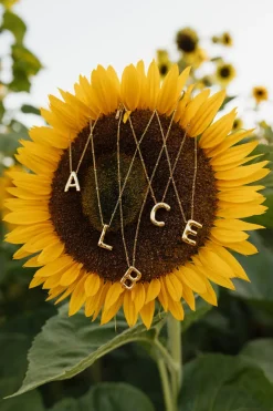 Ali Express Bubble Initial Necklace-Gold Fashion