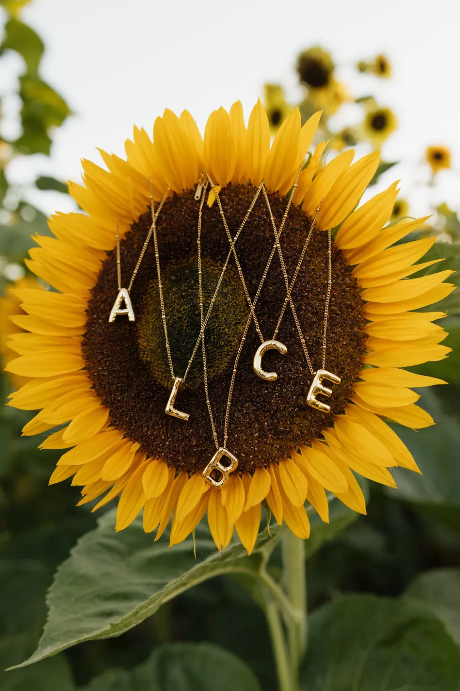 Ali Express Bubble Initial Necklace-Gold Fashion