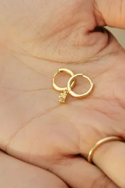 Ali Express Celine Earring Set- Gold Outlet