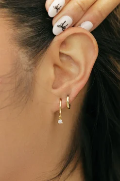 Ali Express Celine Earring Set- Gold Outlet