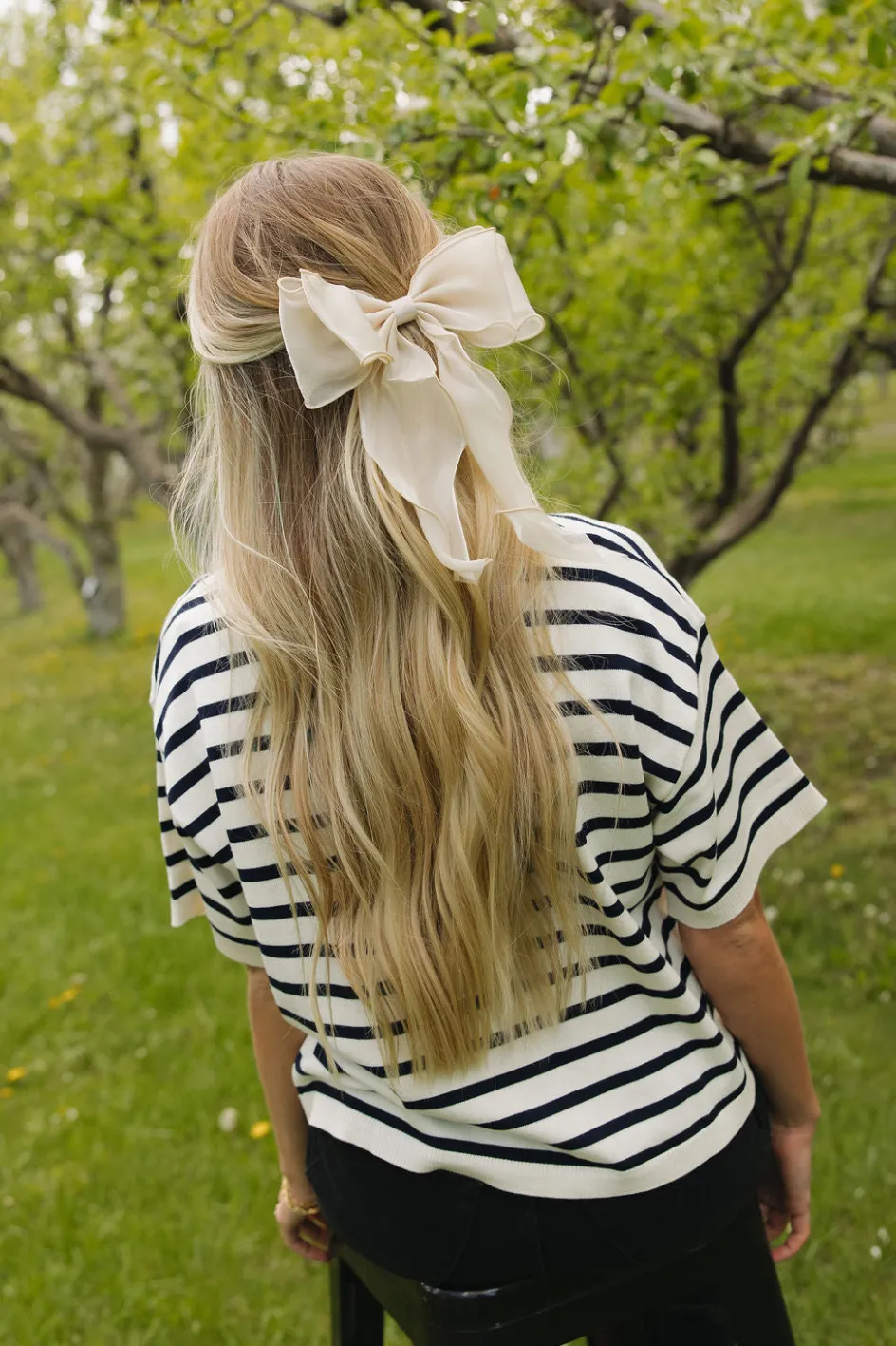 Ali Express Enchanting Bow Blue/Peach/Champagne/Blush/Ivory Fashion