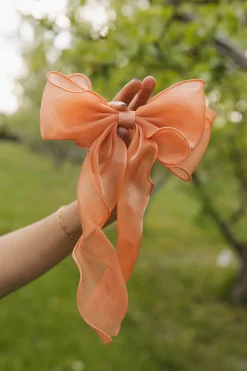 Ali Express Enchanting Bow Blue/Peach/Champagne/Blush/Ivory Fashion