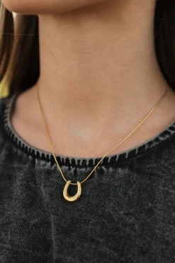 Ali Express Horseshoe Necklace- Gold Online