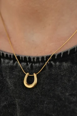 Ali Express Horseshoe Necklace- Gold Online