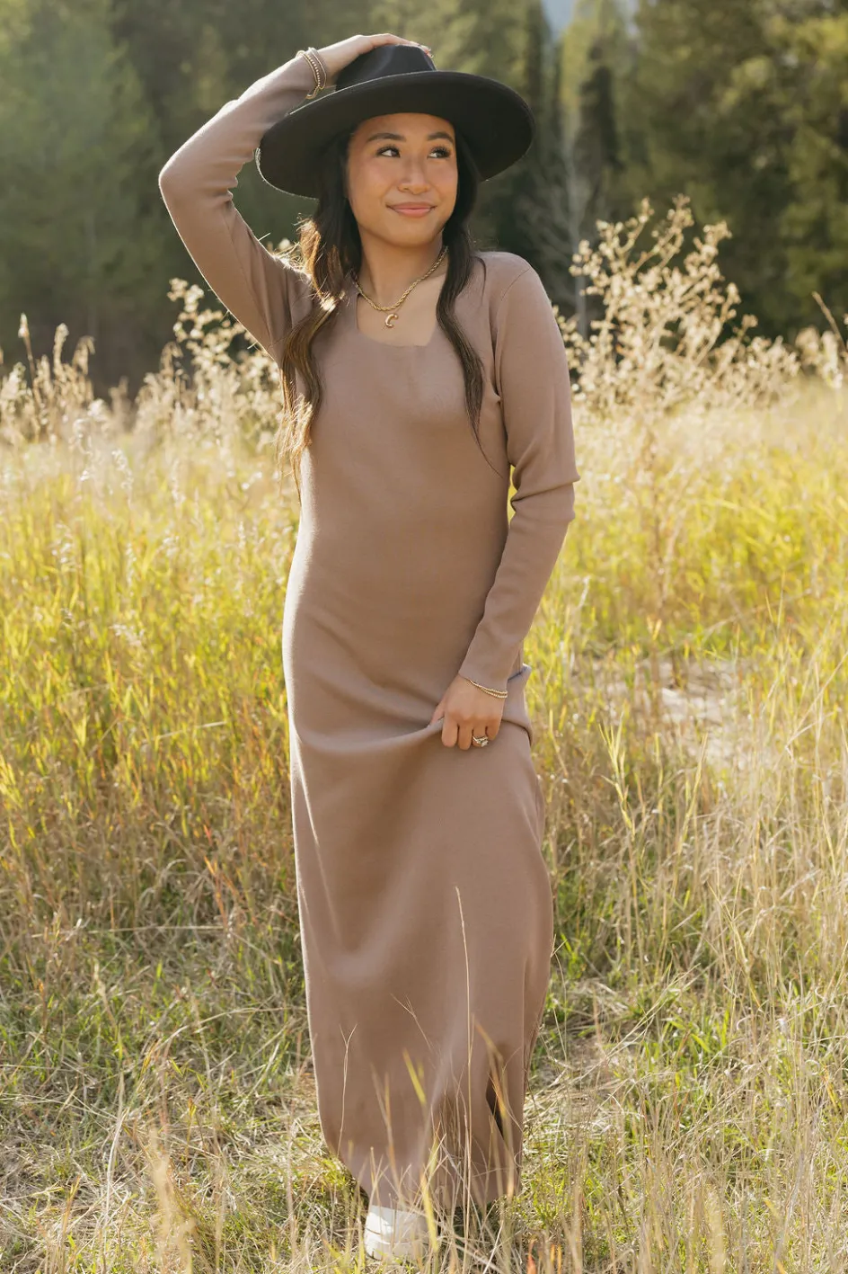 Dongguan Huoyoung Apparel Co Jules Dress-Cocoa Brown New