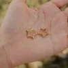 Ali Express Star Hoop Earrings Gold Sale